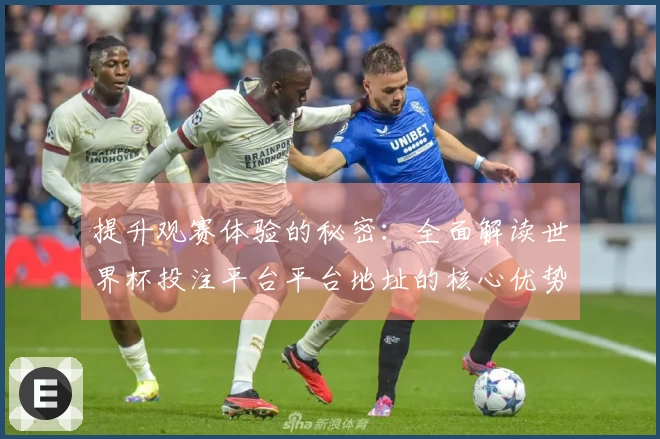 提升观赛体验的秘密：全面解读世界杯投注平台平台地址的核心优势