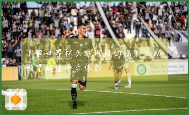 了解世界杯买球网址的福利活动，畅享超值平台体验