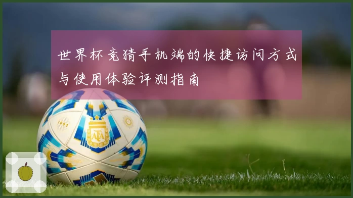 世界杯竞猜手机端的快捷访问方式与使用体验评测指南