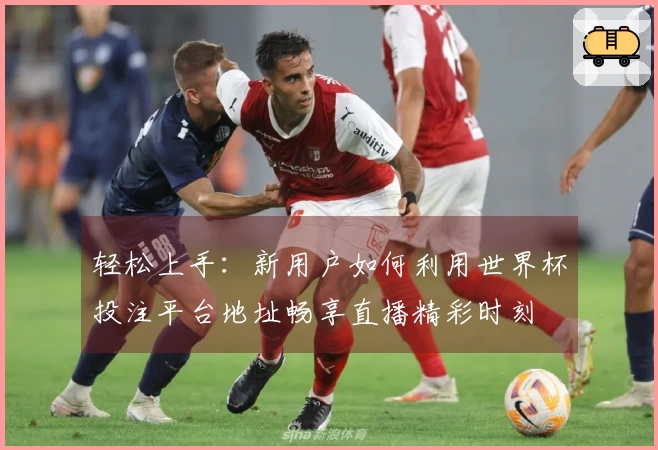 轻松上手：新用户如何利用世界杯投注平台地址畅享直播精彩时刻