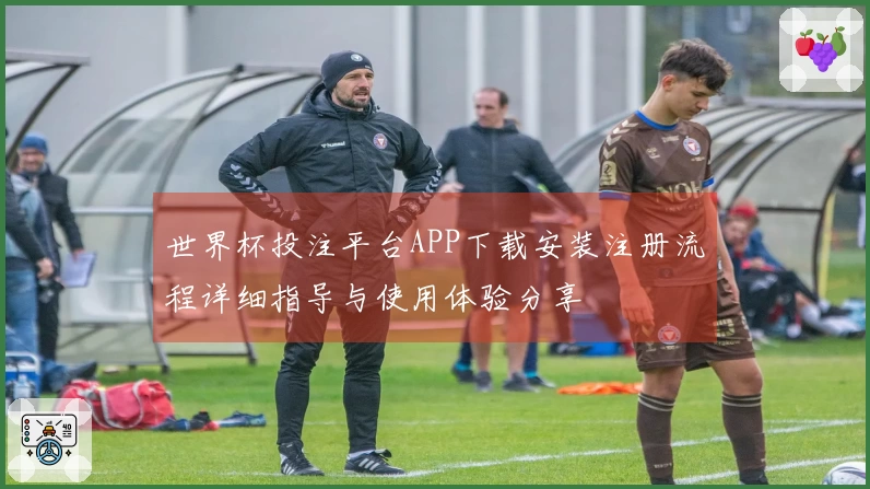 世界杯投注平台APP下载安装注册流程详细指导与使用体验分享