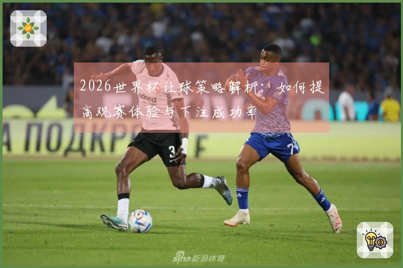 2026世界杯让球策略解析：如何提高观赛体验与下注成功率