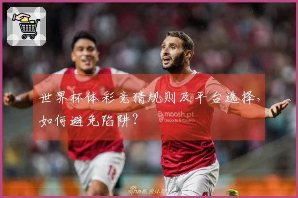 世界杯体彩竞猜规则及平台选择，如何避免陷阱？