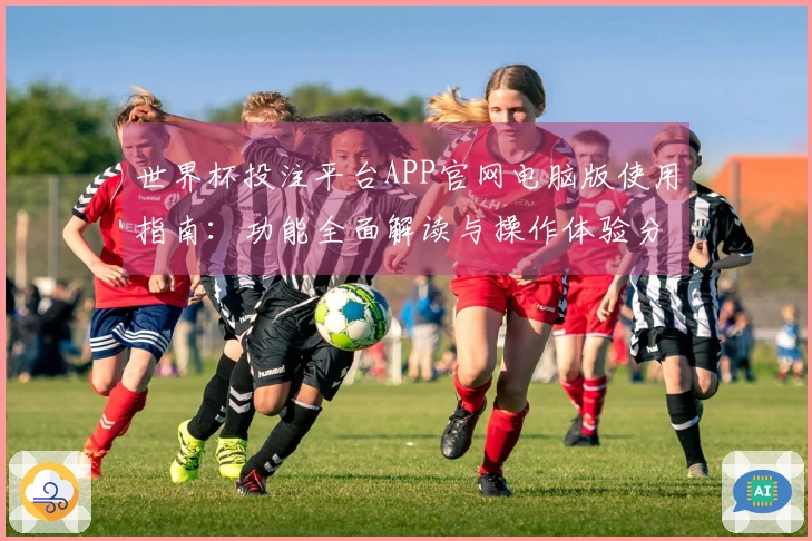 世界杯投注平台APP官网电脑版使用指南：功能全面解读与操作体验分享