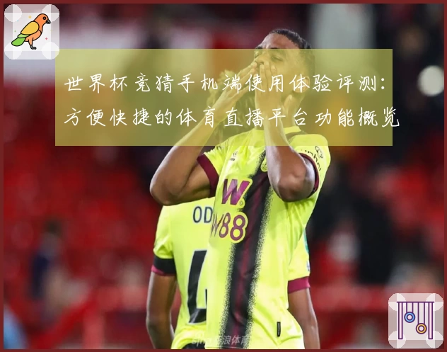 世界杯竞猜手机端使用体验评测：方便快捷的体育直播平台功能概览