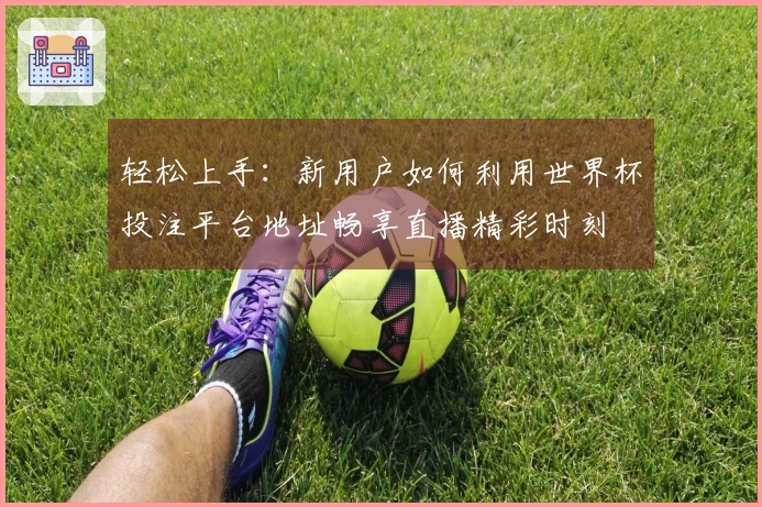 轻松上手：新用户如何利用世界杯投注平台地址畅享直播精彩时刻