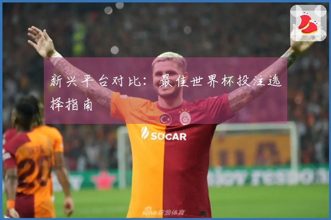 新兴平台对比：最佳世界杯投注选择指南