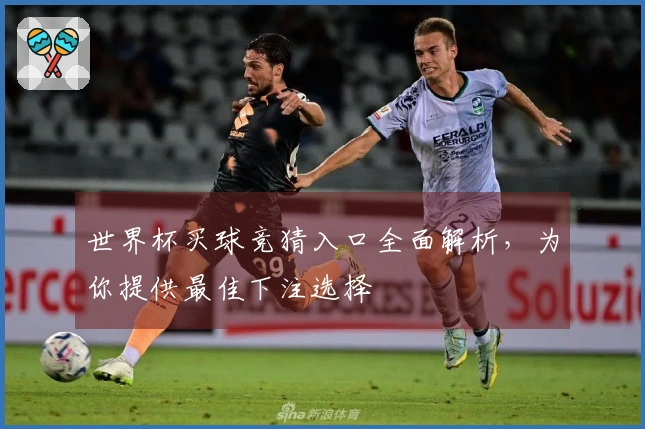 世界杯买球竞猜入口全面解析，为你提供最佳下注选择