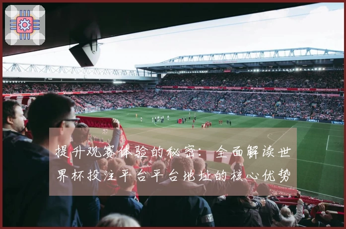提升观赛体验的秘密:全面解读世界杯投注平台平台地址的核心优势